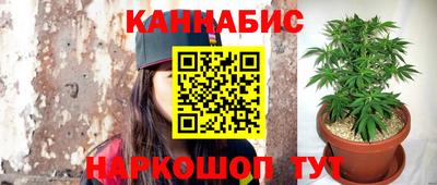 меф Кингисепп