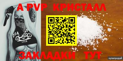 меф Кингисепп